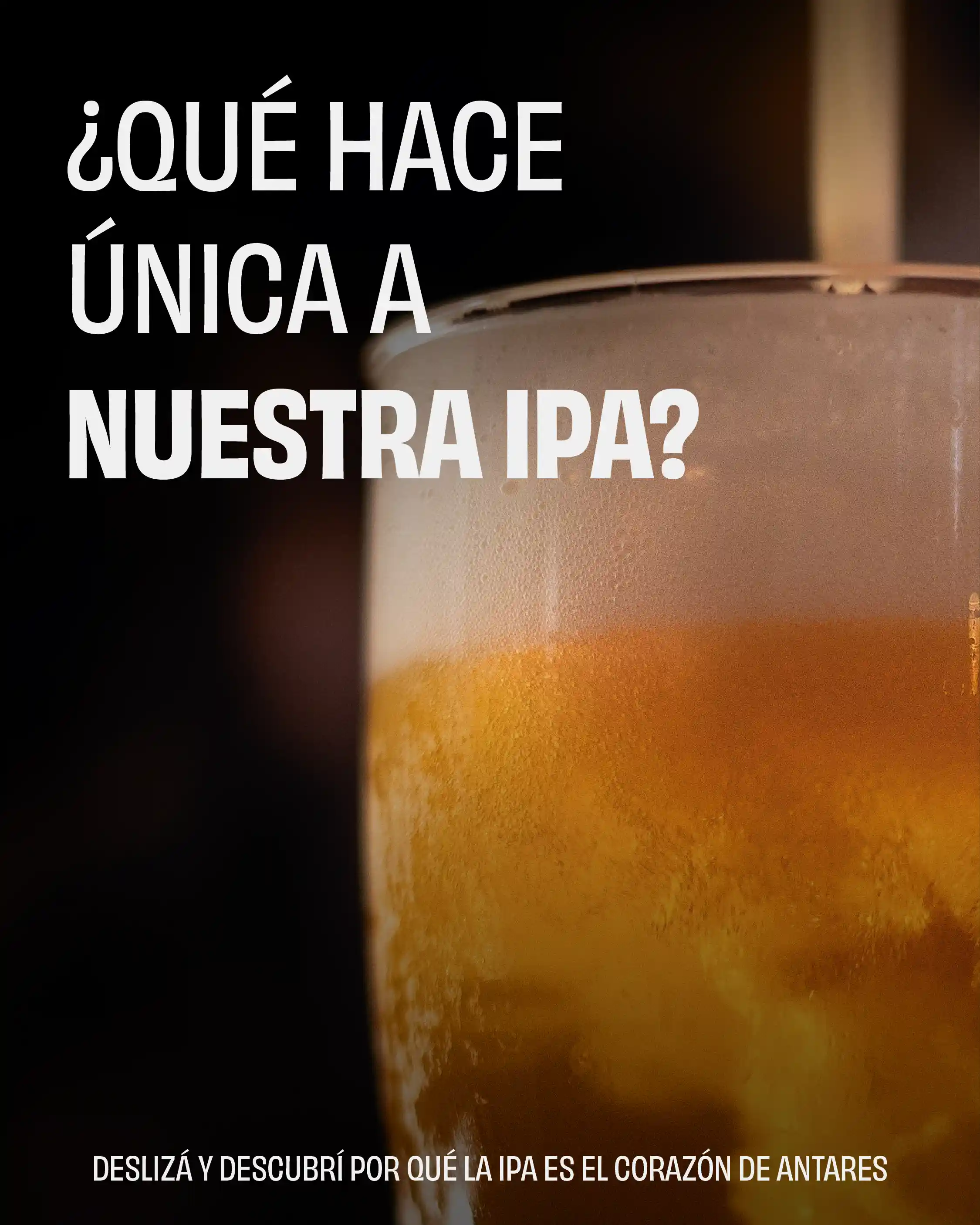 IPA 🍻