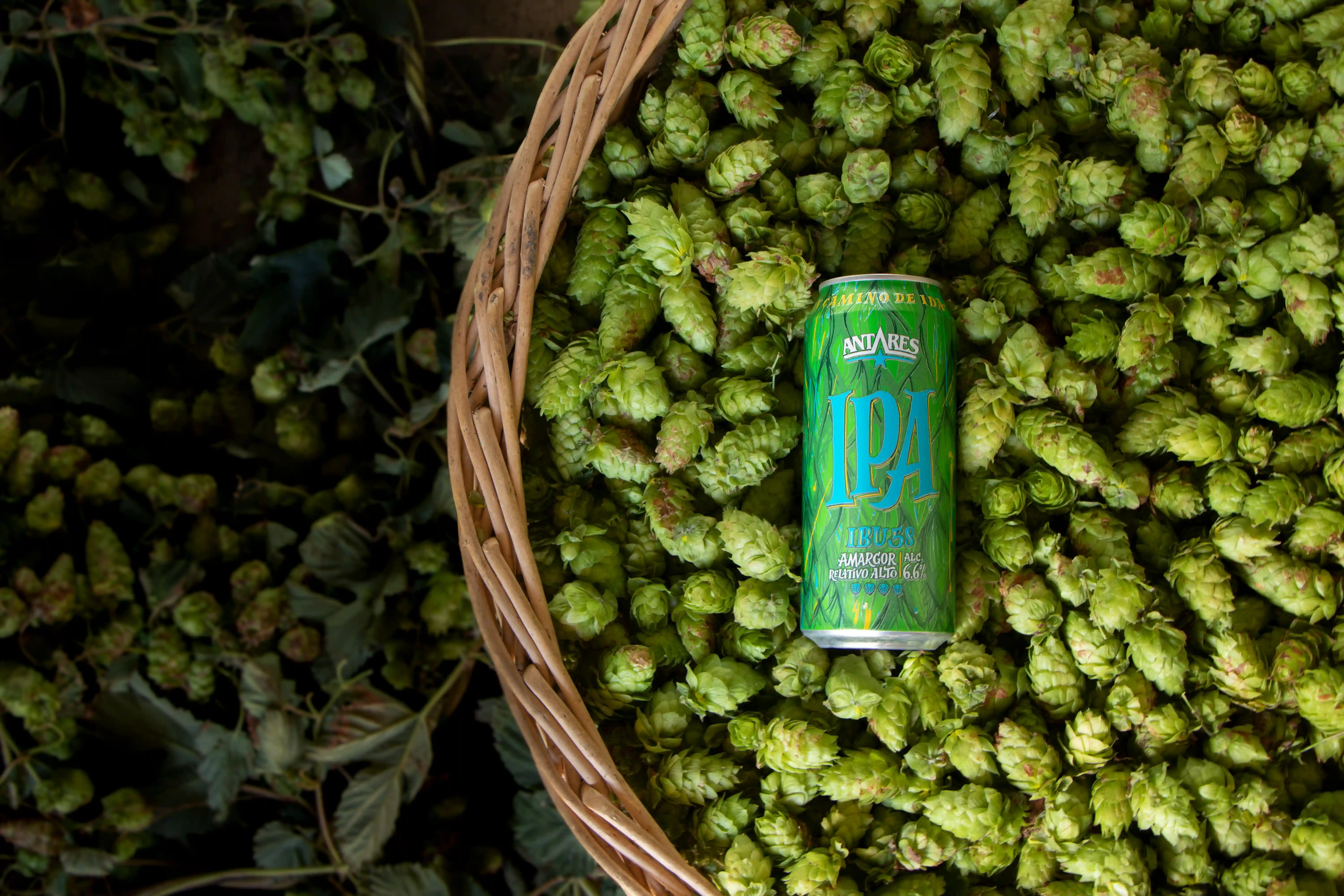 2001 - Cocinamos nuestra primer IPA